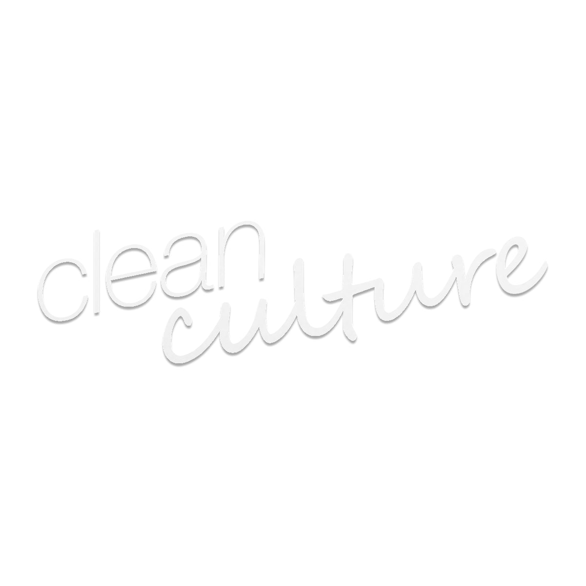 Vinyl – Clean Culture
